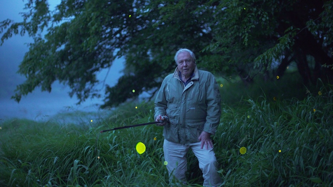 David Attenboroughs on Earth - Jackson Wild: Nature. Media. Impact.